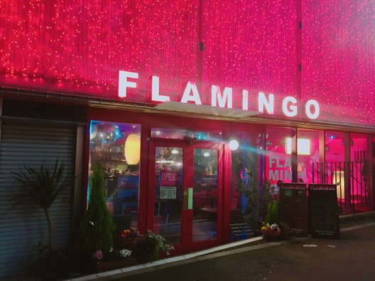 FLAMINGO