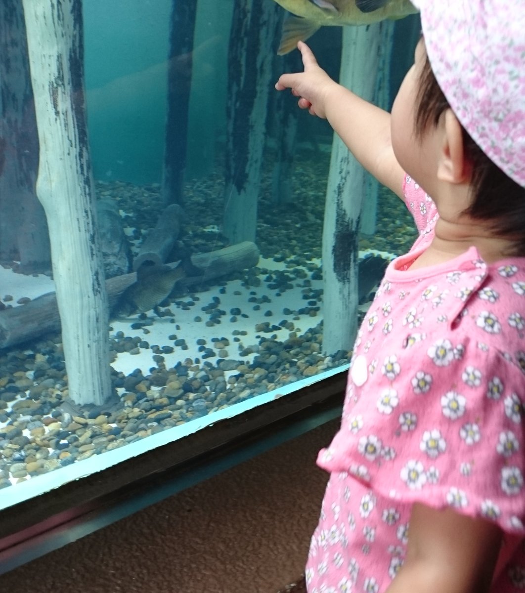 しながわ水族館