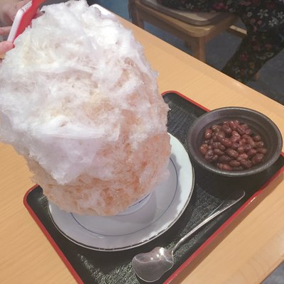 しもきた茶苑大山