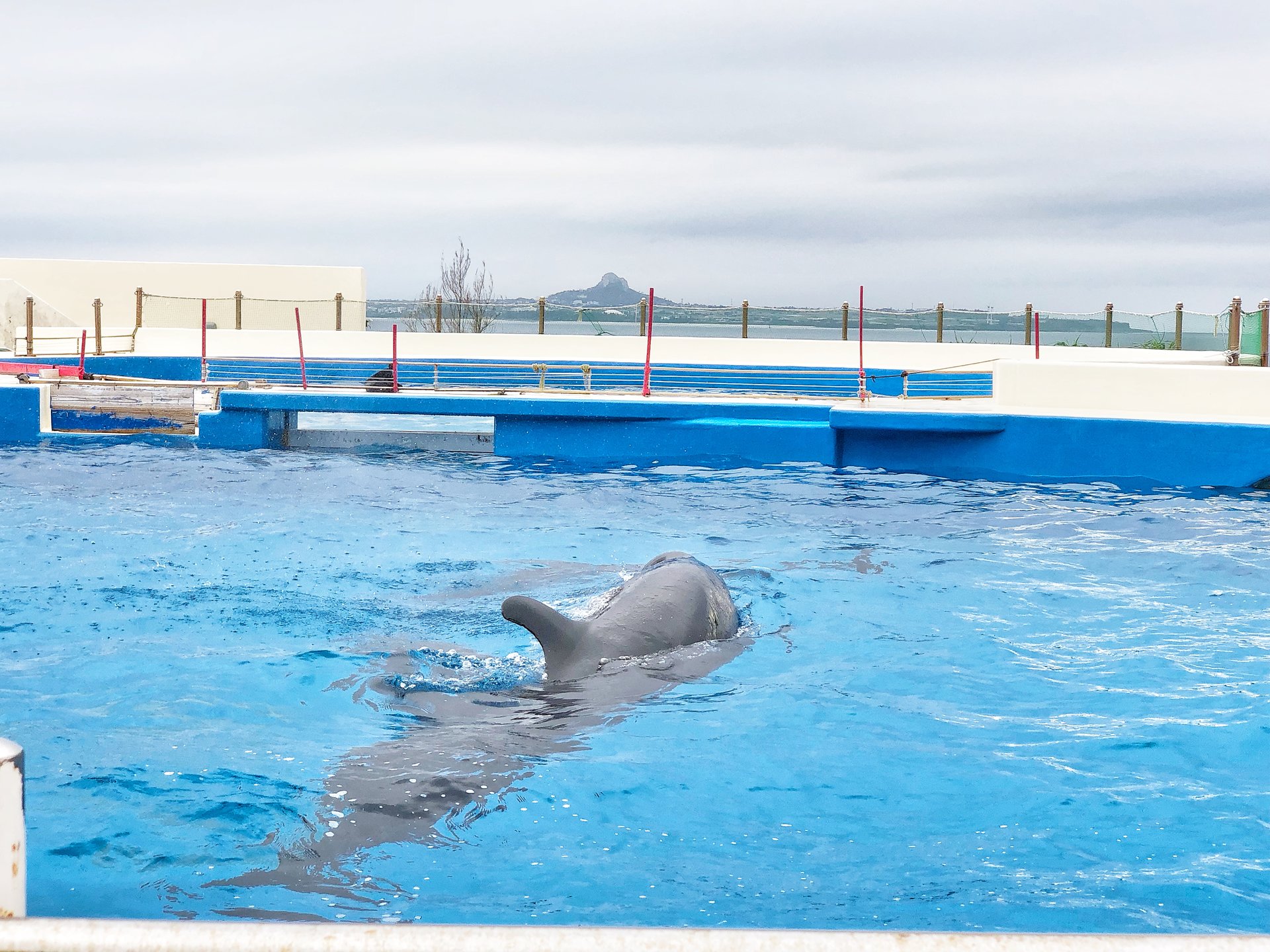 海洋博公園 オキちゃん劇場