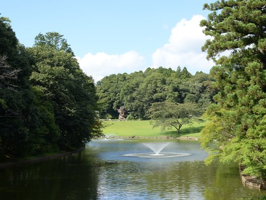 DIC川村記念美術館