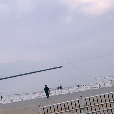 海浜公園