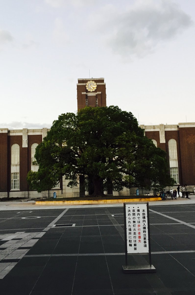 京都大学