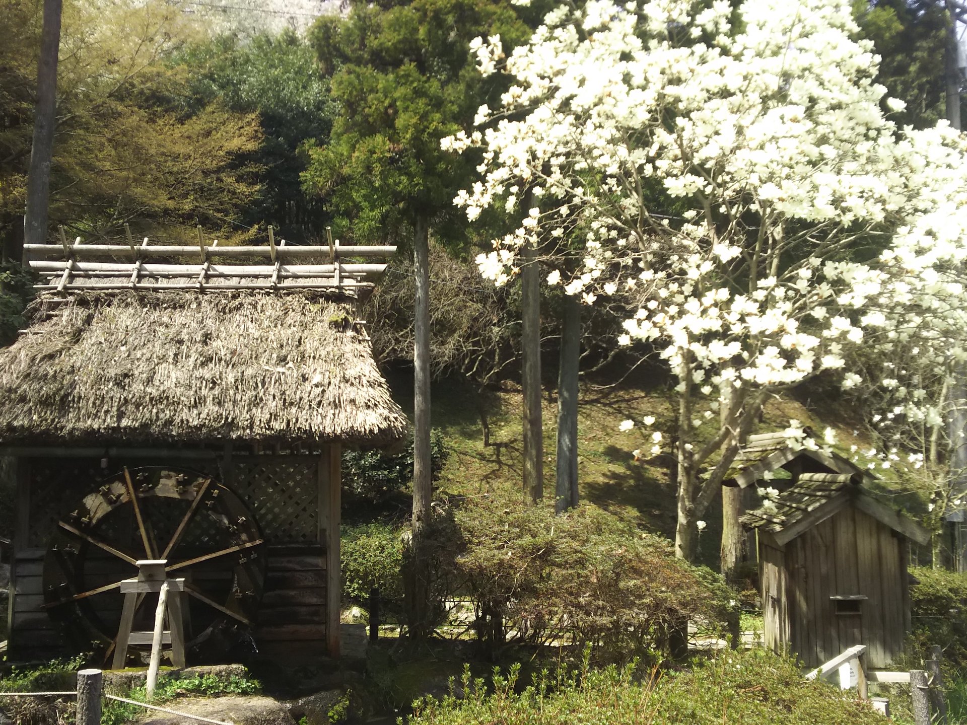 油山市民の森