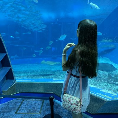 沖縄美ら海水族館