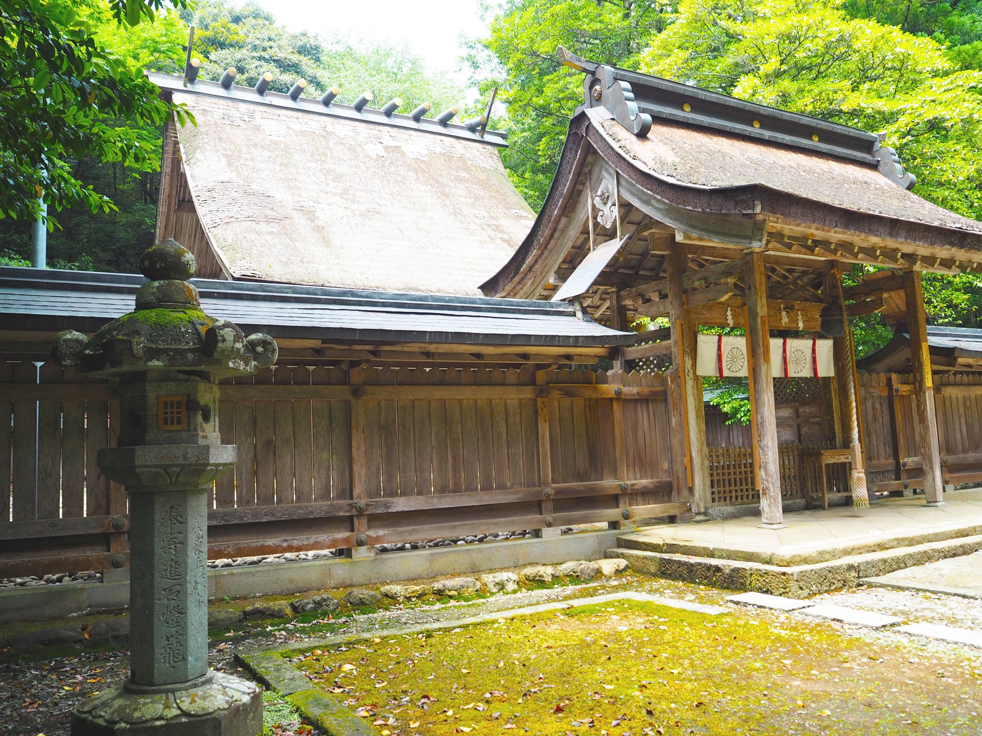 【若狭姫神社と彦神社】福井県小浜市でパワーをチャージ。日本屈指の隠れパワースポット！