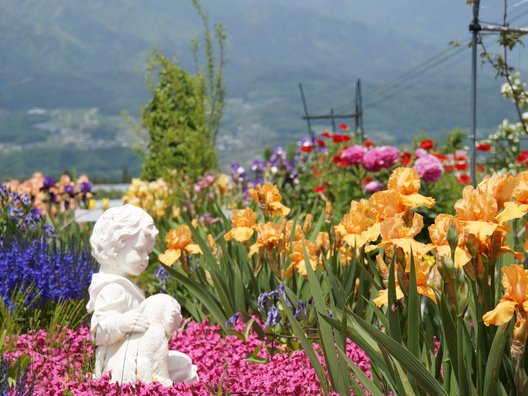 豊丘村　アイリス園