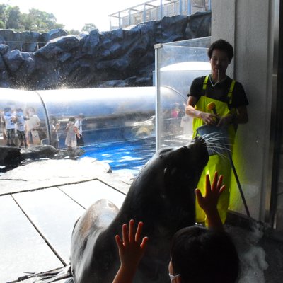 鳥羽水族館