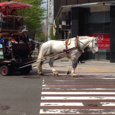 トニーローマ 札幌時計台前店