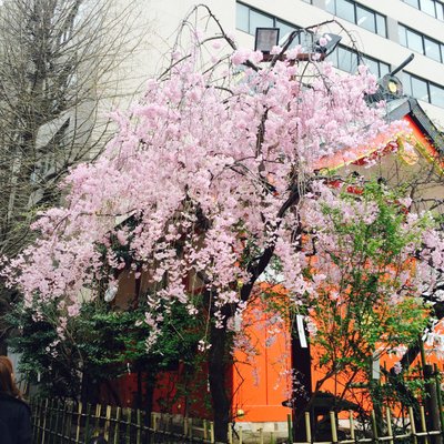 花園神社