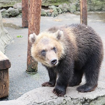 登別温泉