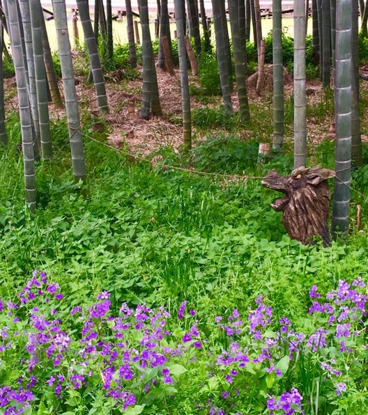 ラディアン花の丘公園