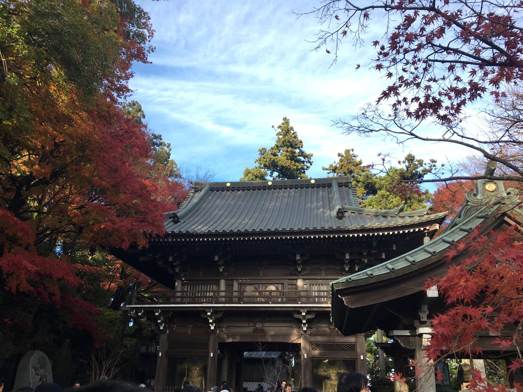 大本山 高尾山 薬王院