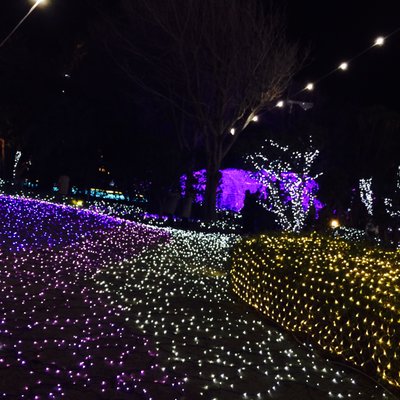 江の島シーキャンドル(展望灯台)