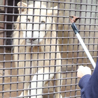 宇都宮動物園