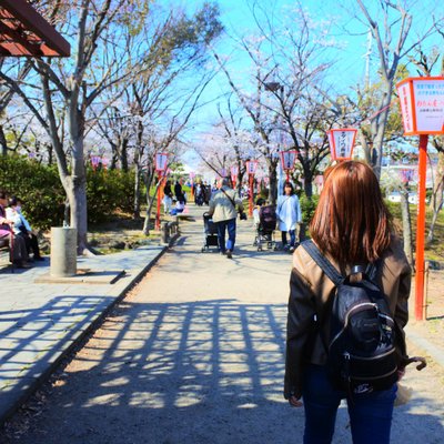 郡山城跡