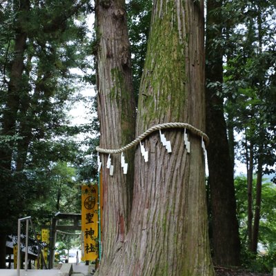 和銅採掘遺跡