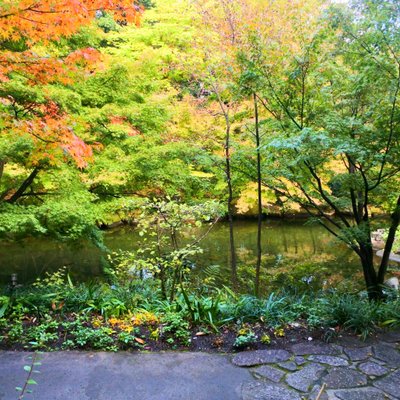 徳川園