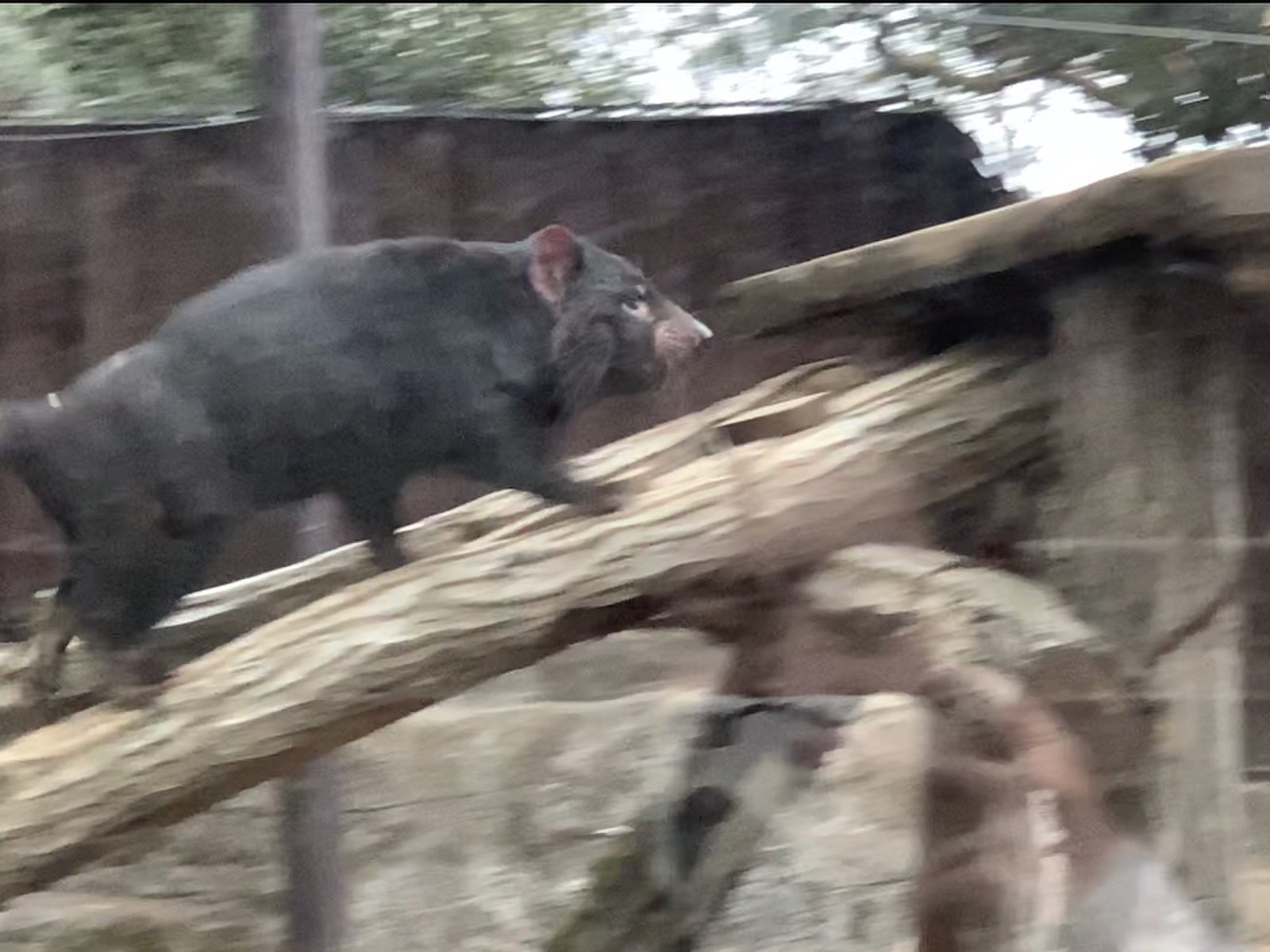 東京都多摩動物公園