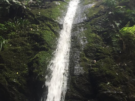 宿谷の滝