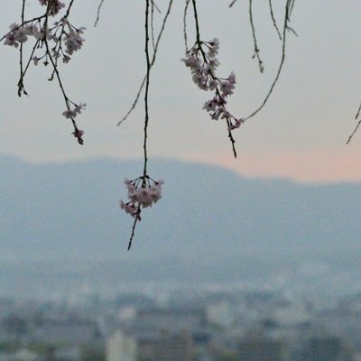 清水寺