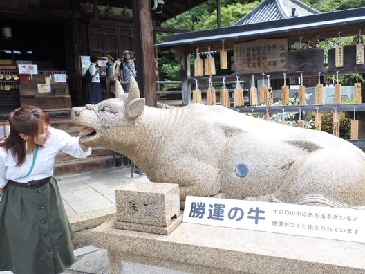 三室戸寺