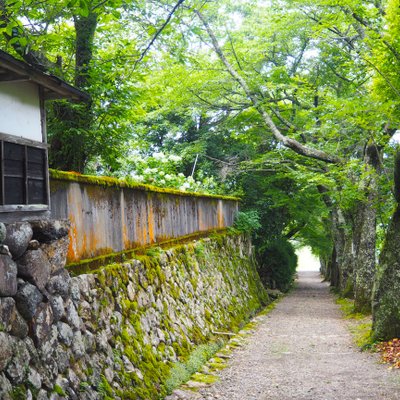 神宮寺