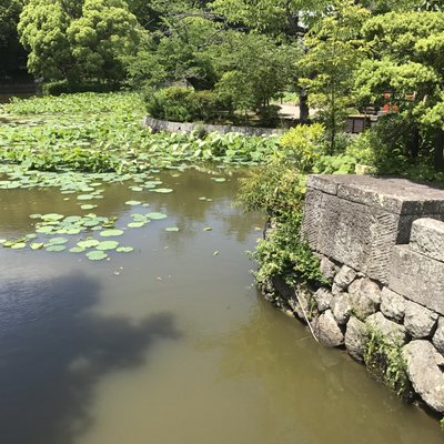 鶴岡八幡宮