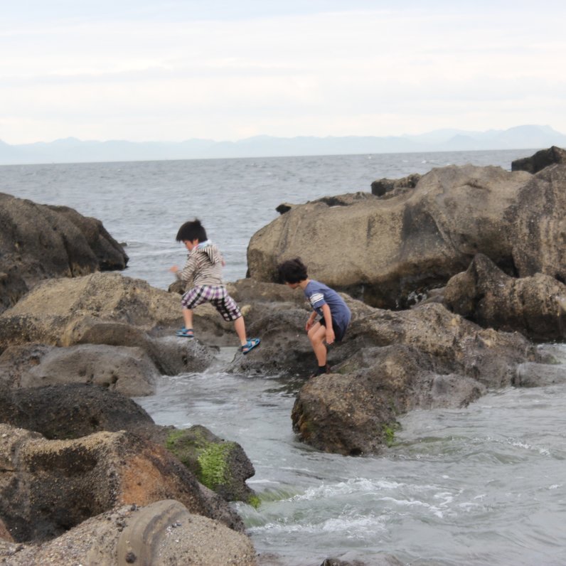 城ヶ島