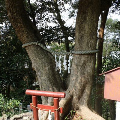 大鷲神社