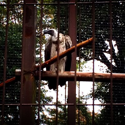 東京都恩賜上野動物園