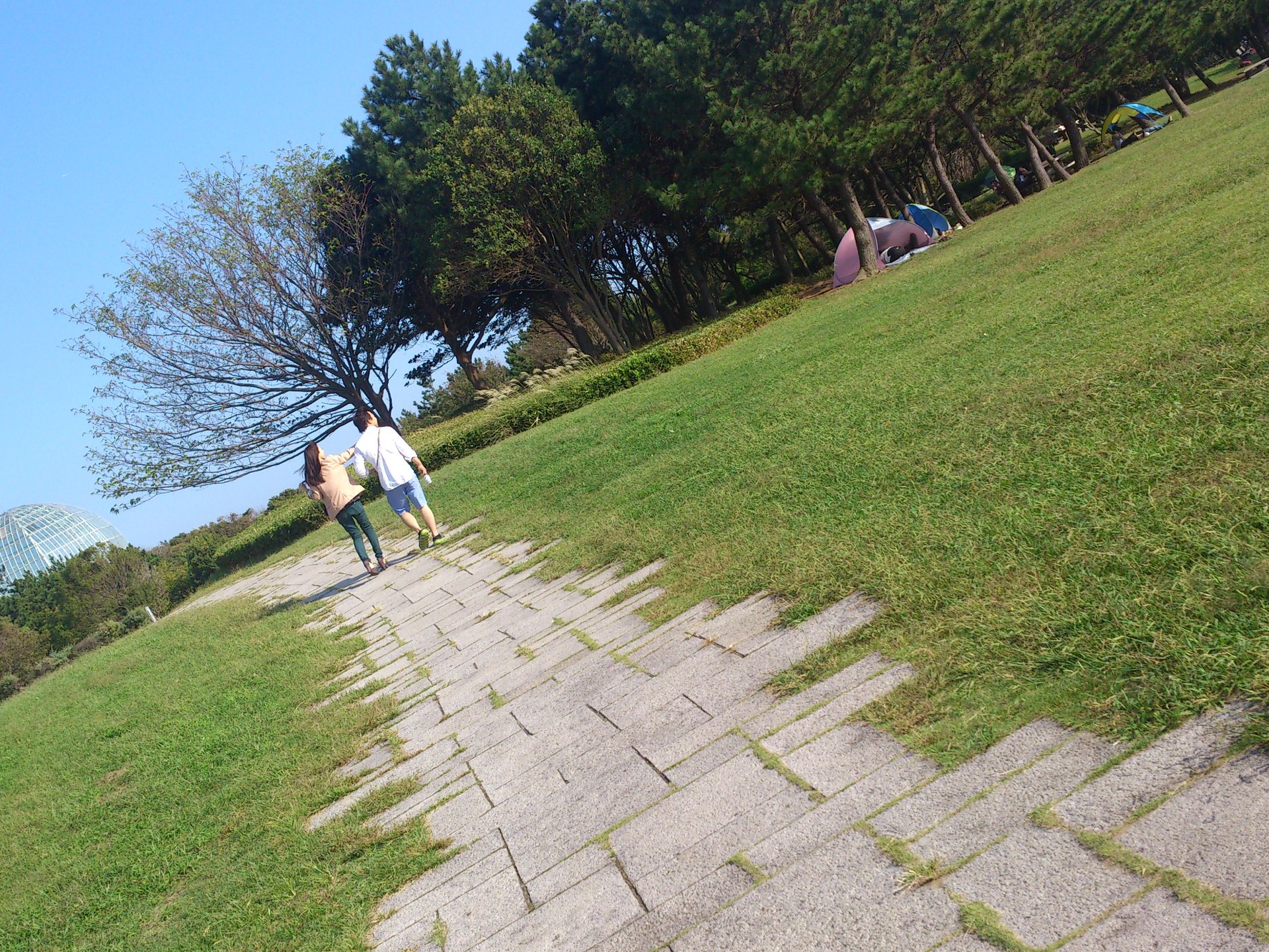 【日本一の観覧車♡】葛西臨海公園で海を見ながら都内でまったり癒しデートプラン♡