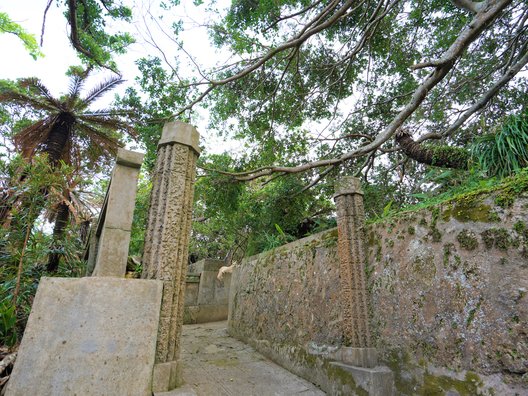 樹齢300年ガジュマルと石垣