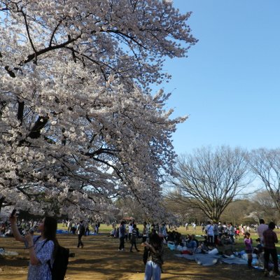 代々木公園