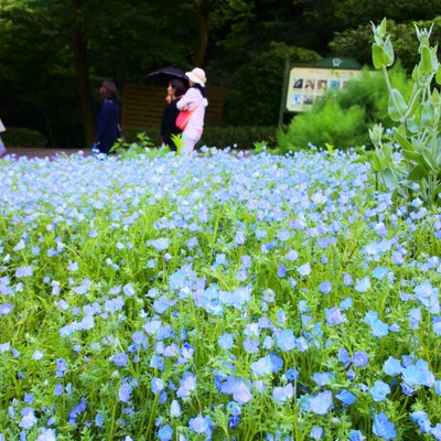 神戸布引ハーブ園