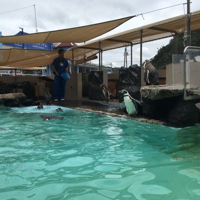 下田海中水族館