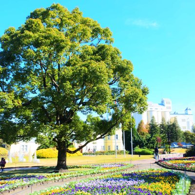 安城産業文化公園デンパーク