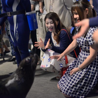 すみだ水族館