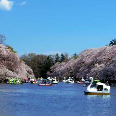 井の頭公園ボート場