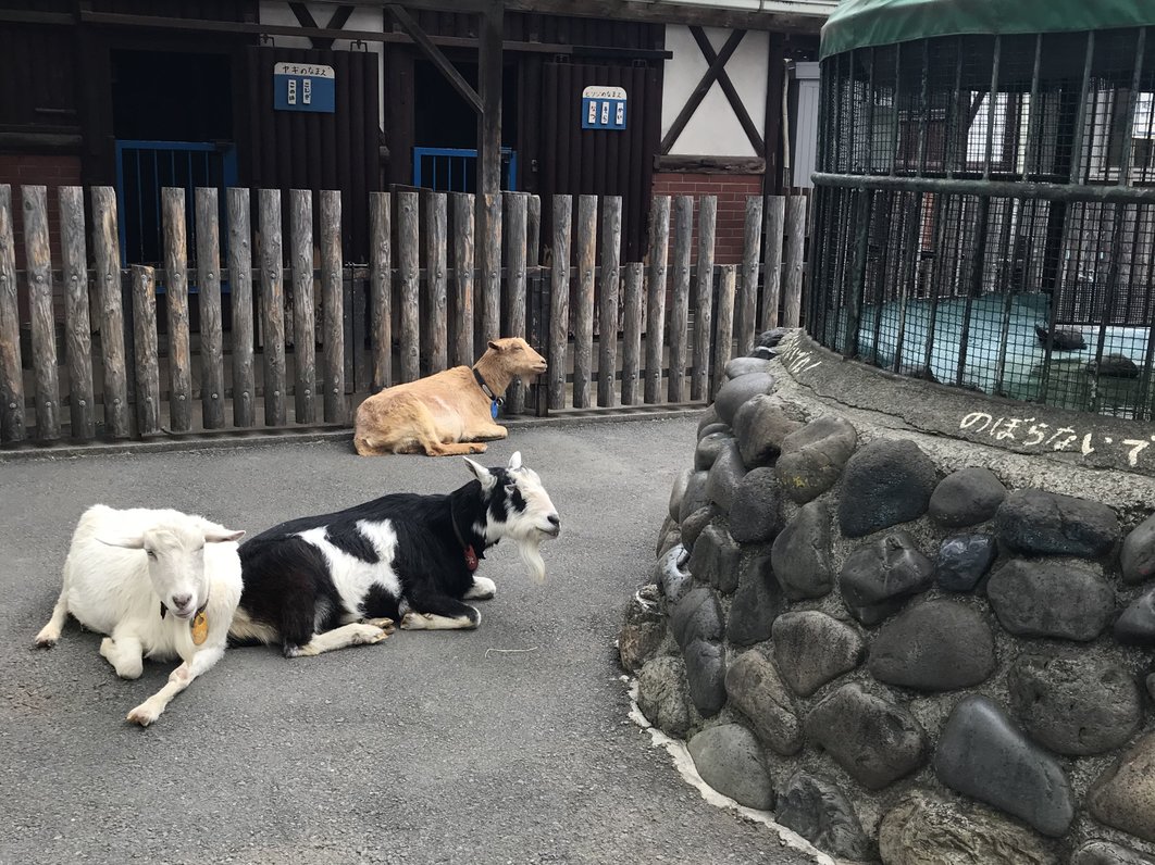 板橋区立こども動物園