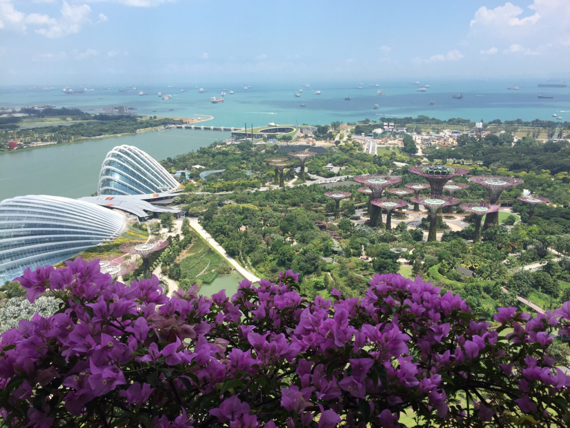 シンガポール〜世界遺産『ナショナルオーキッドガーデン』大人気観光地で植物鑑賞