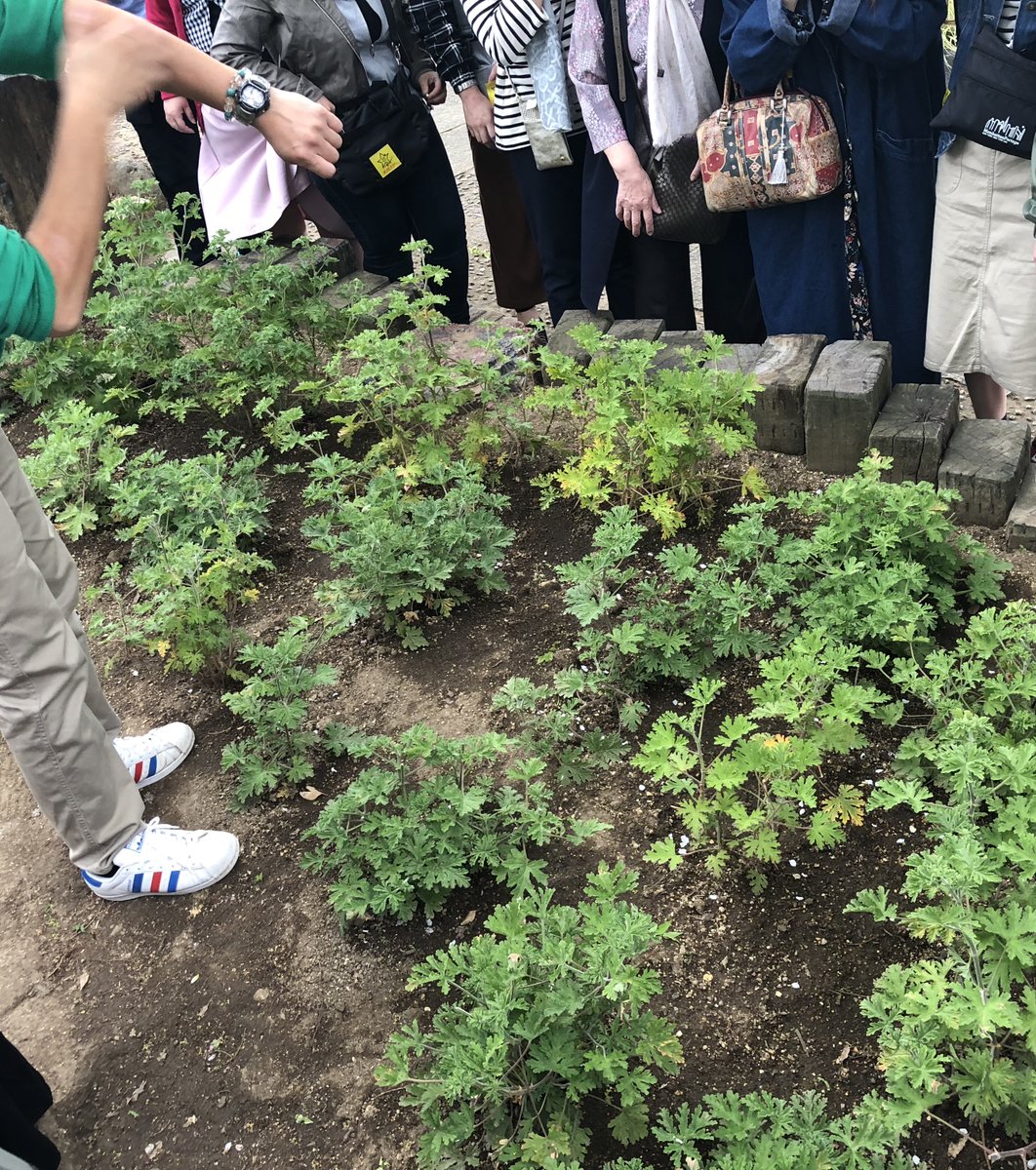 ハーブ庭園 旅日記 勝沼庭園