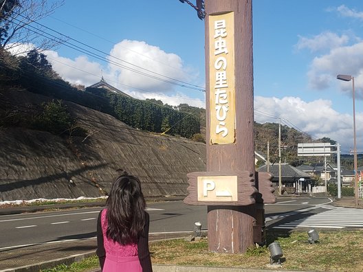 道の駅 昆虫の里たびら