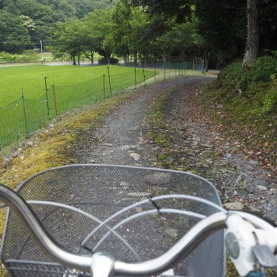 神宮寺