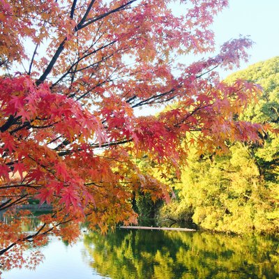 天王寺公園