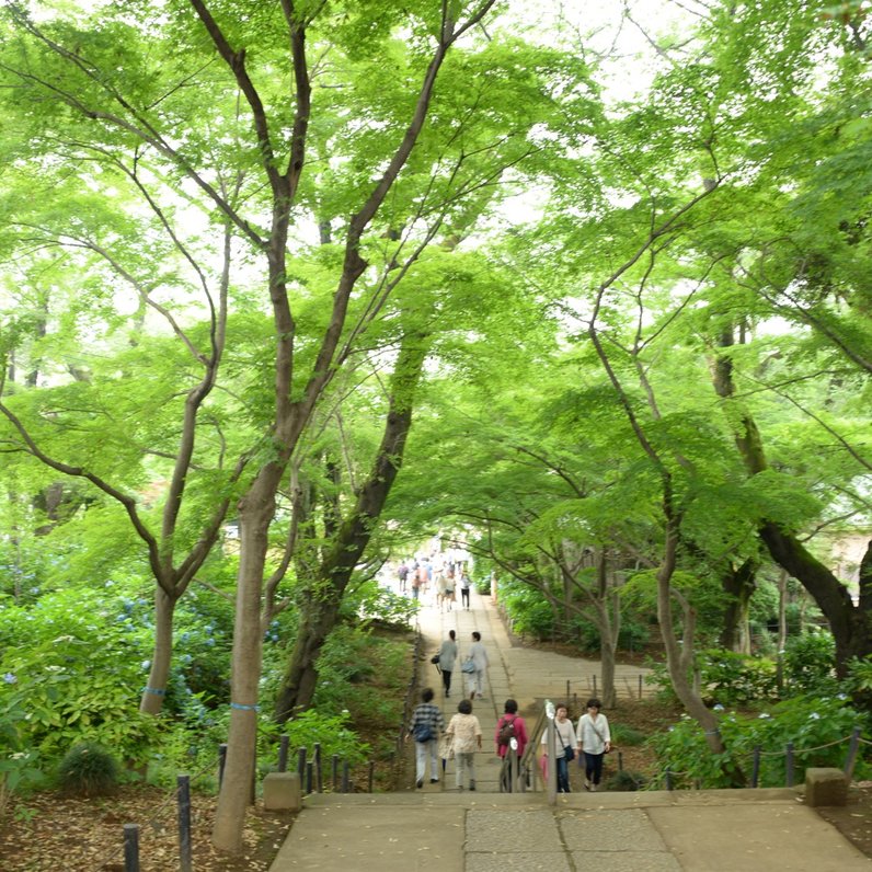 本土寺