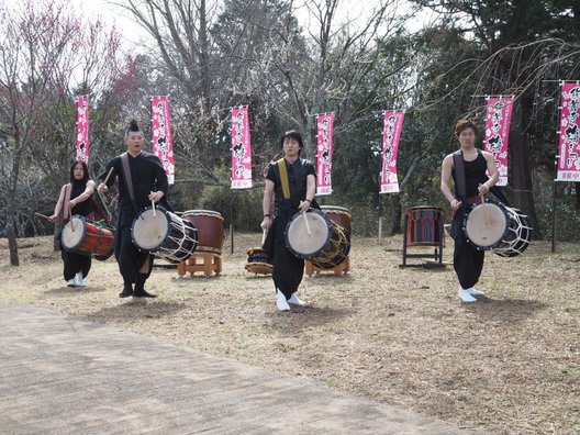 修善寺自然公園