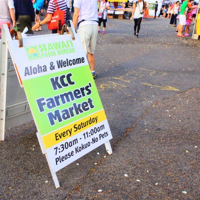 The Saturday Farmers' Market at KCC