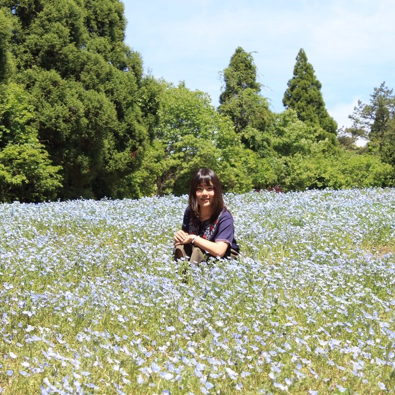 くじゅう花公園