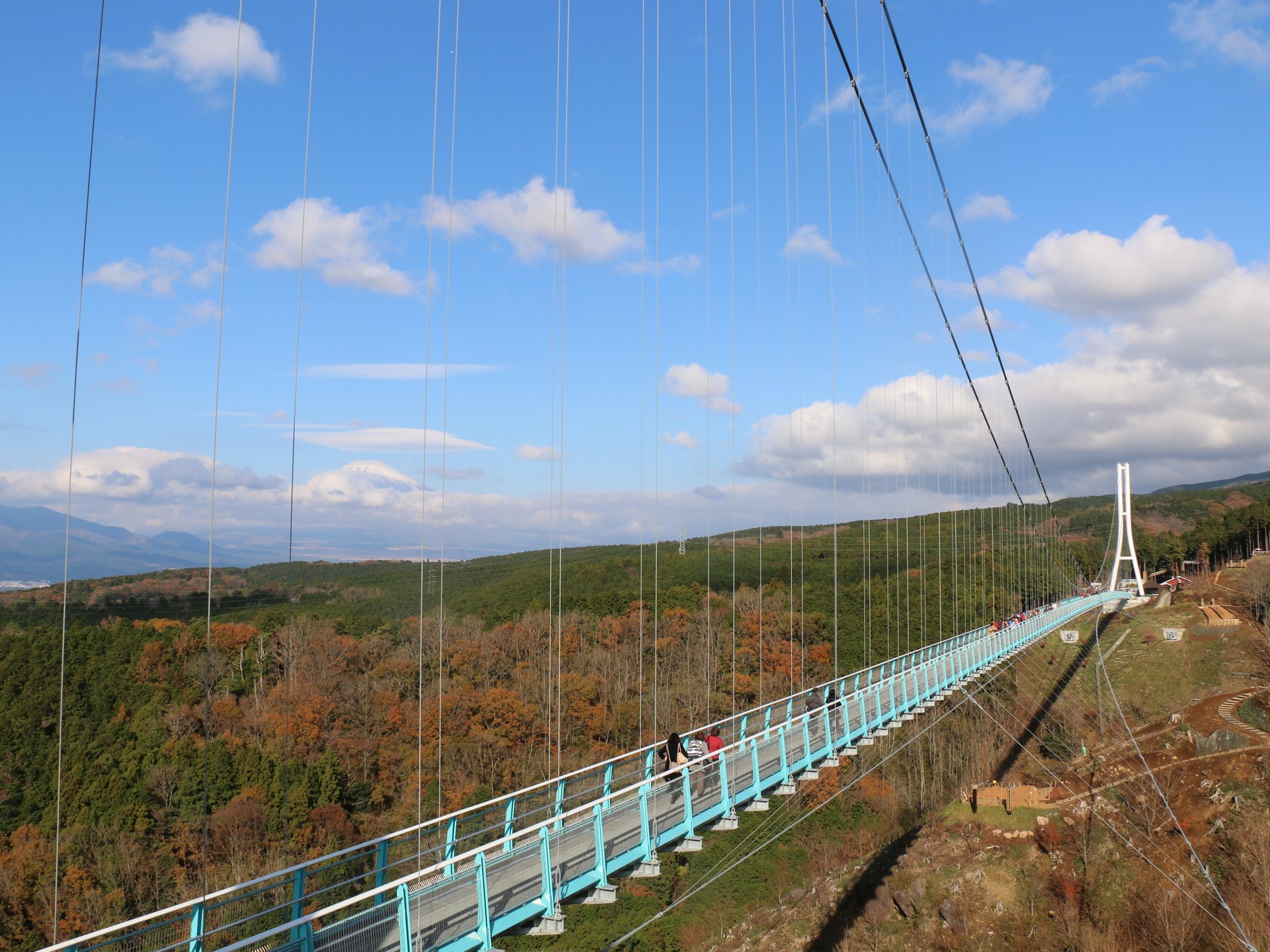 まさに絶景！富士山と日本一の吊り橋を１枚に♪三島スカイウォークを歩いてみよう！②